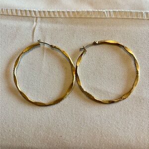 Elegant Gold Hoop Earrings